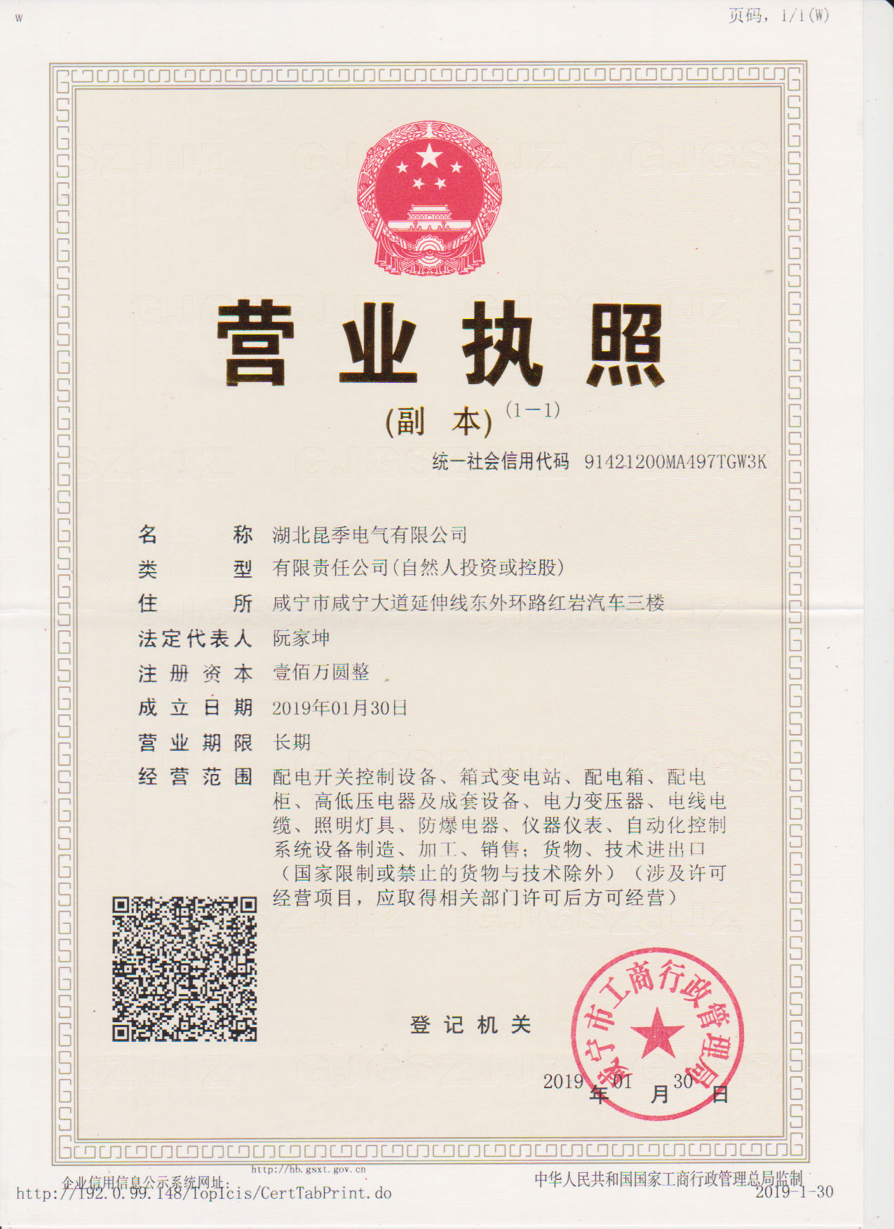 公司营业执照